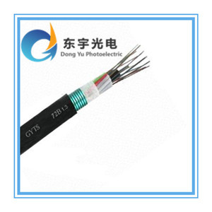 江蘇東宇光電科技西安GYTS-8B1鎧裝光纜熱銷，助力光纖通信網(wǎng)絡(luò)發(fā)展